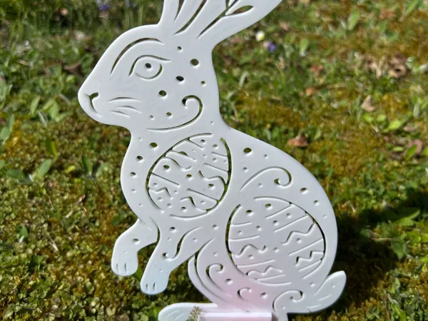 https://makerworld.bblmw.com/makerworld/model/US617995c6320cd/design/2025-04-06_99117a45b654e.jpg