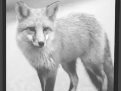Cute fox lithophane