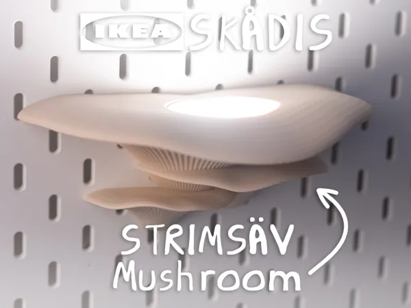 https://makerworld.bblmw.com/makerworld/model/US61898c7b0d4bcf/design/2025-07-14_134094dc812c.jpg