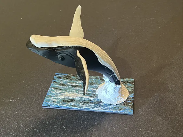 https://makerworld.bblmw.com/makerworld/model/US618e5a89cc900b/design/2025-03-19_b7d1ac87b404c.jpg