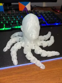 Rocktopus — la pieuvre musclée — photo 8
