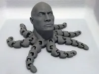 Rocktopus — la pieuvre musclée — photo 2