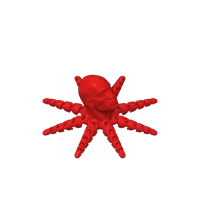Rocktopus — la pieuvre musclée — photo 6