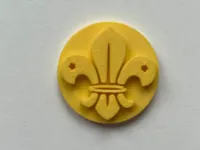 Logo insigne scout — photo 2