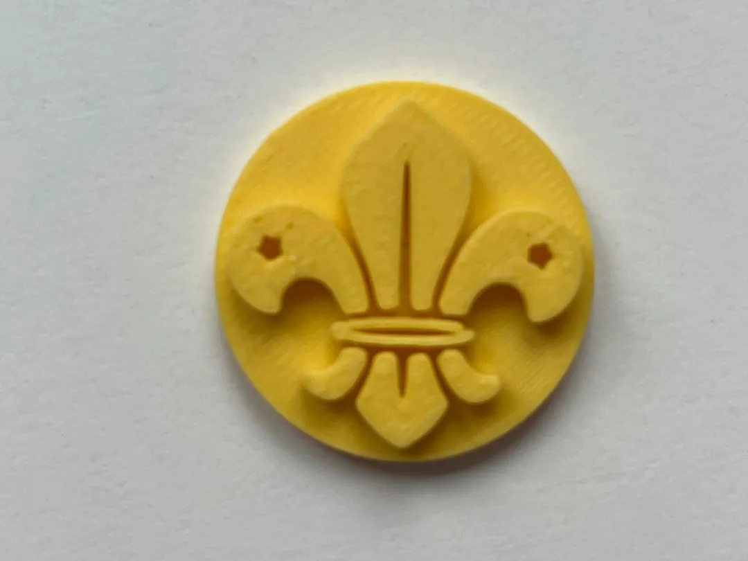 Logo insigne scout