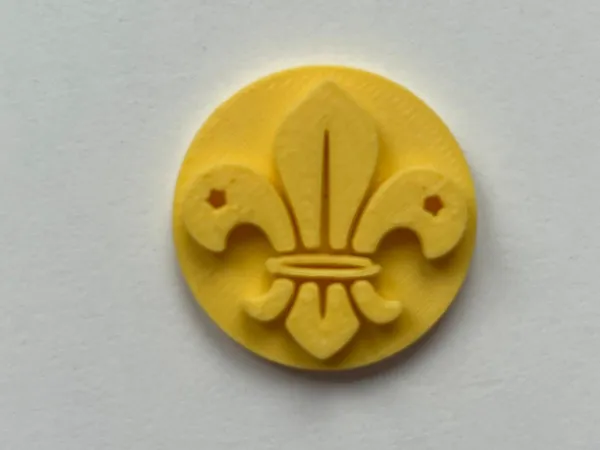 https://makerworld.bblmw.com/makerworld/model/US6196a44b26adde/design/2024-12-15_218eaaa598621.jpg