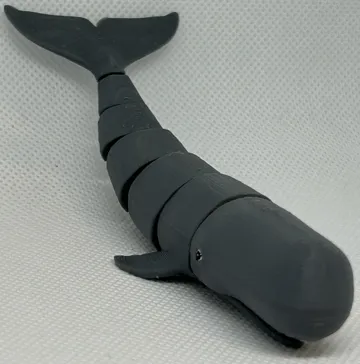 Objeto manipulable: Flexi Sperm Whale – Fidget Toy – Print-in-Place — vista de referencia 4