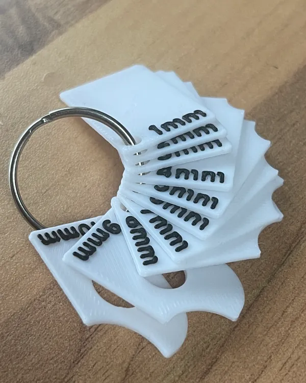 https://makerworld.bblmw.com/makerworld/model/US61a10e01759f78/design/2024-02-24_737cea3e3f571.jpg