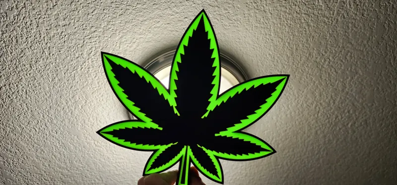Pot Leaf / Marijuana Light Box