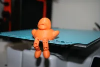 Canard articulé — photo 3
