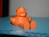 Canard articulé — photo 1