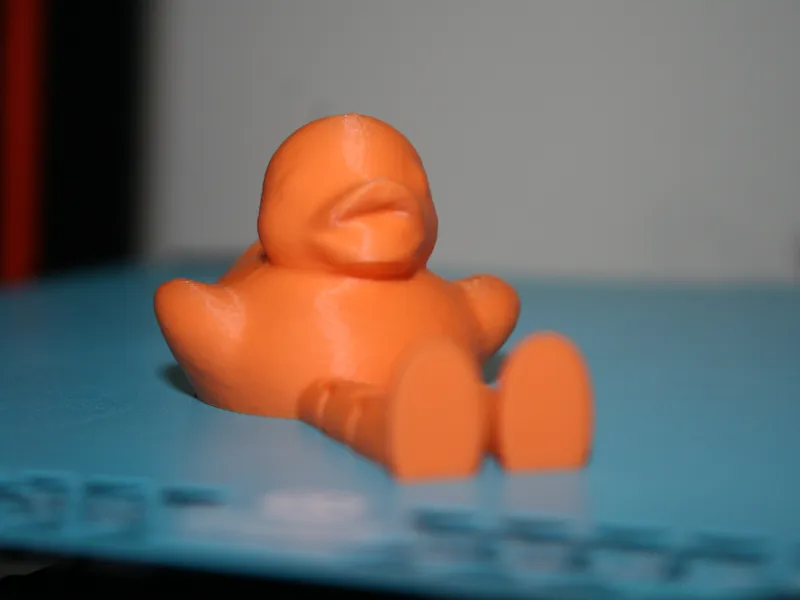 Duck Buddy