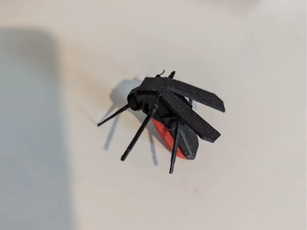 https://makerworld.bblmw.com/makerworld/model/US61a32895e6e533/design/2024-11-25_8eb1f09b519db.jpg