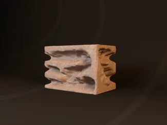 仓鼠洞穴