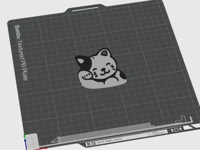 Cat kitty