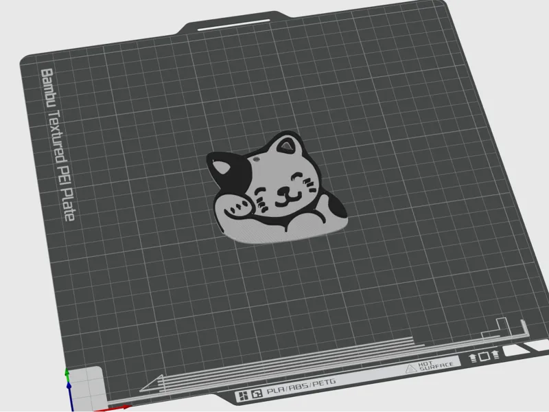 Cat kitty