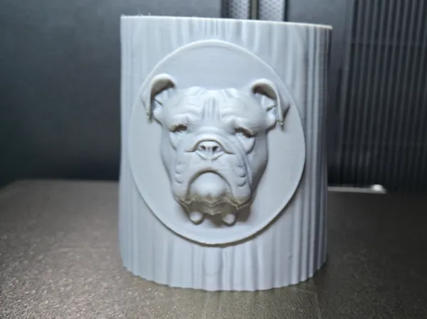 https://makerworld.bblmw.com/makerworld/model/US61aea7547f8352/design/770e247e0ad5f86e.jpg