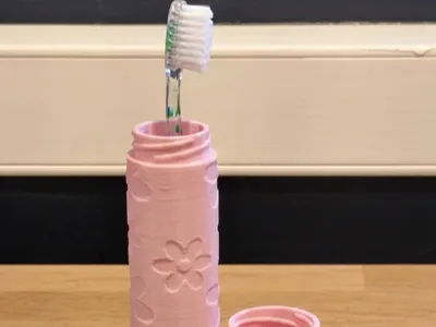 Travel toothbrush case
