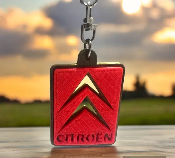 https://makerworld.bblmw.com/makerworld/model/US61b2c722a72ffe/design/2024-04-03_7a08eff7fa6c1.jpg