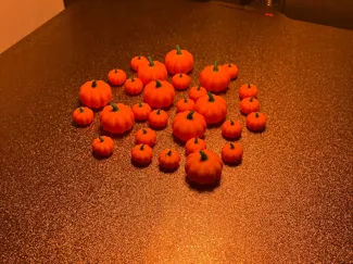 Mini Pumpkins