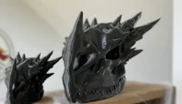 Crâne de dragon stabilisé — photo 5