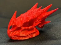 Crâne de dragon stabilisé — photo 2