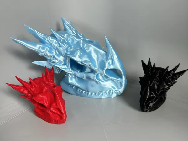 Crâne de dragon stabilisé