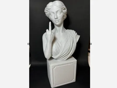 antique bust  middlefinger 