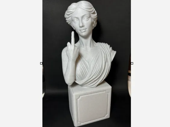 antique bust  middlefinger 