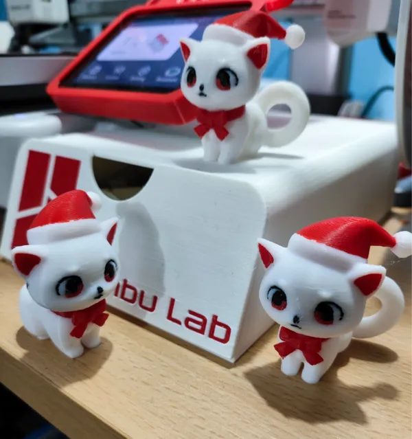 https://makerworld.bblmw.com/makerworld/model/US61b5cf04102cea/design/2024-11-07_3fa1a9284823.jpg
