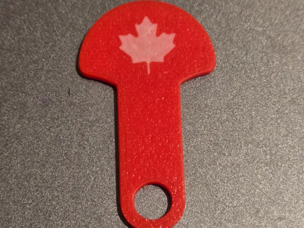 https://makerworld.bblmw.com/makerworld/model/US61bc55584bc895/design/2025-08-16_66c9edf6b68c58.jpg