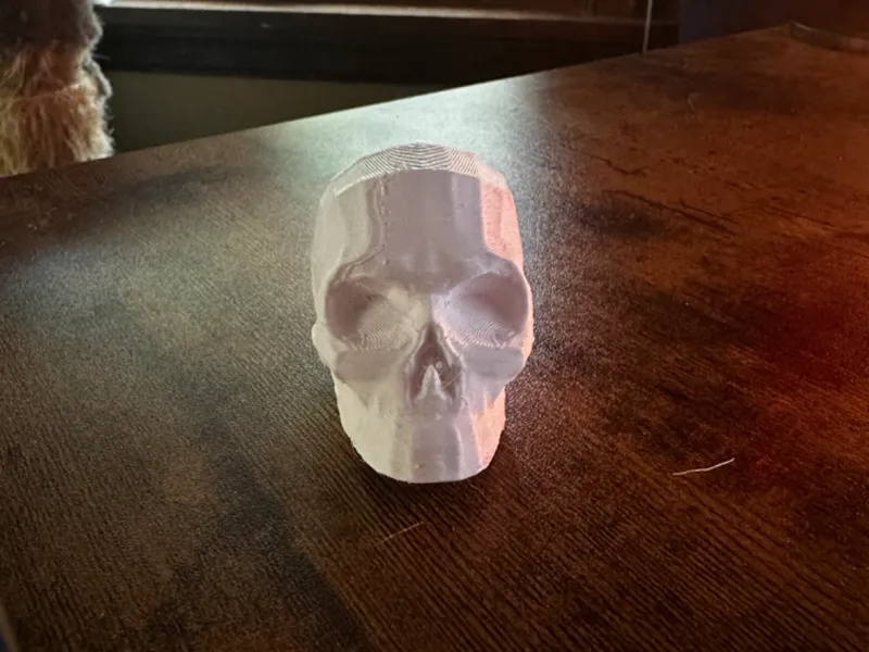 Low Poly Skull - Skeleton Head Decor