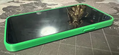 iPhone 12 Pro Phone Case