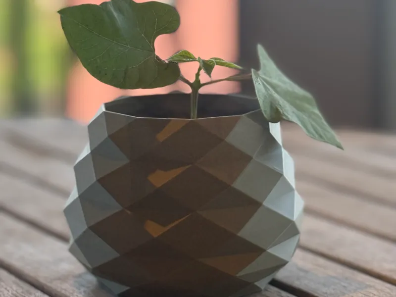modern plant pot