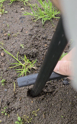 earthworm attractant 30 cm