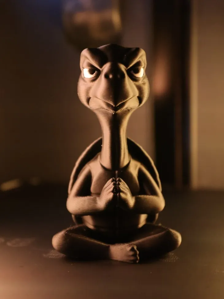 Grumpy Zen Turtle view 3