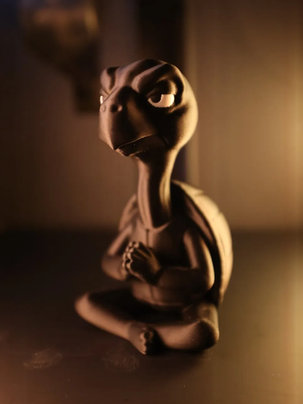 Grumpy Zen Turtle view 2
