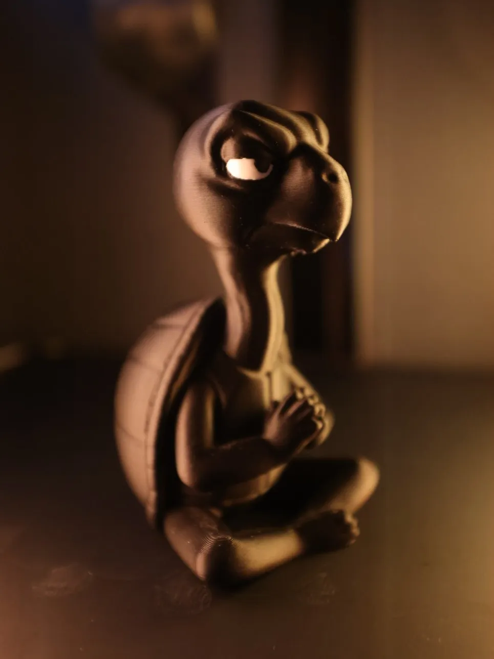 Grumpy Zen Turtle view 4