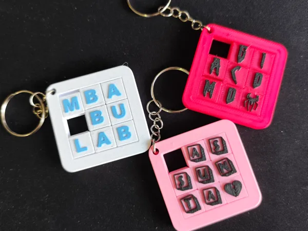 https://makerworld.bblmw.com/makerworld/model/US61d5d9d6775e8/design/6ffdeb25ccdffb83.jpg