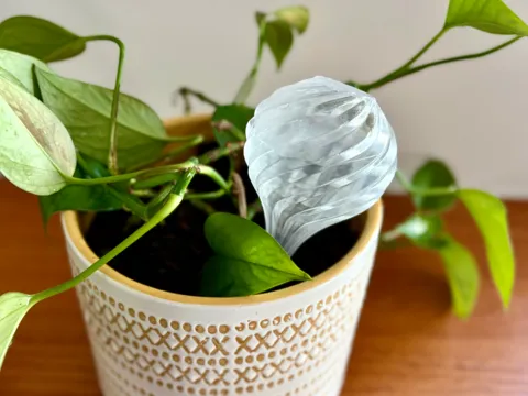Jarrón decorativo: Spiral Plant Watering Globe in Vase Mode — referencia de MakerWorld