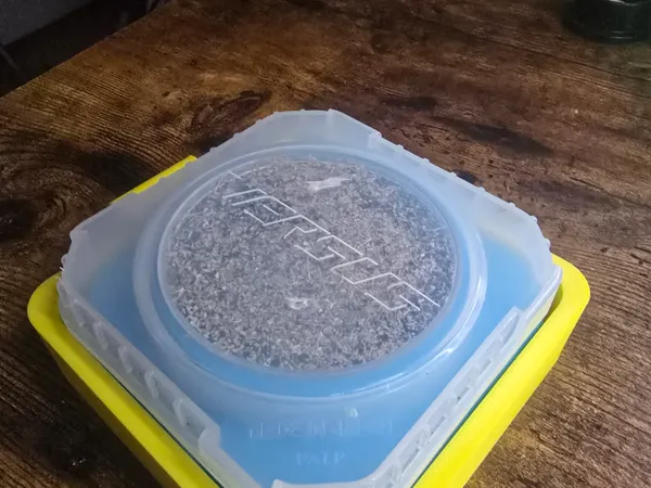 https://makerworld.bblmw.com/makerworld/model/US61dc640a178128/design/2025-02-08_f90d820500726.jpg