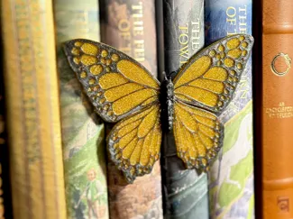 Butterfly Spine Hugger