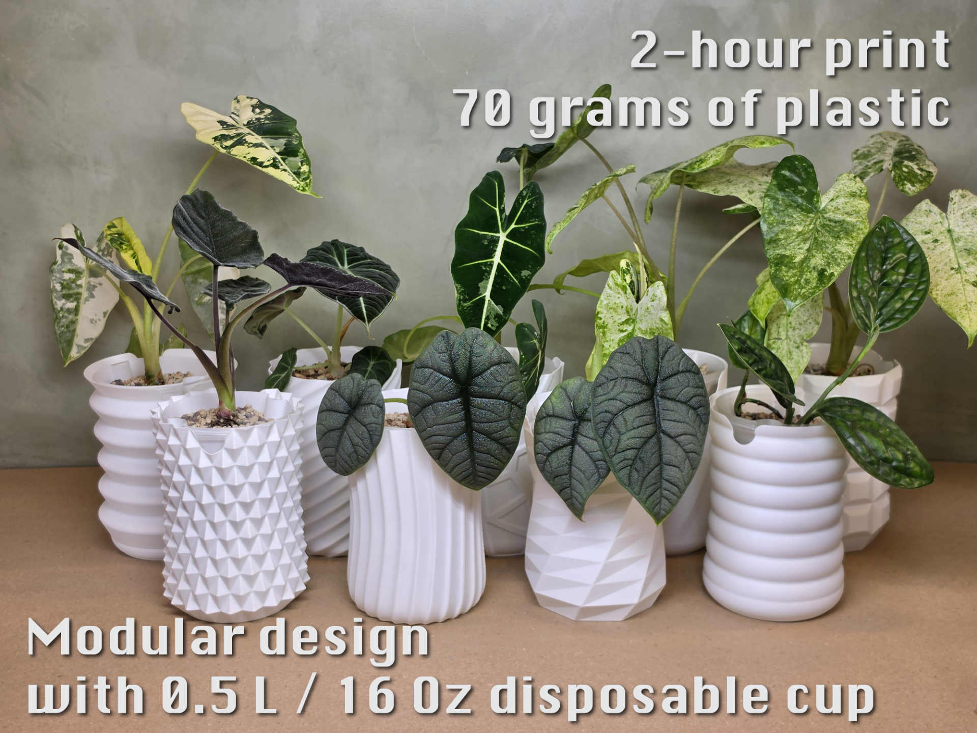Universal Semi-Hydro Planter System, 0.5L/16Oz Cup