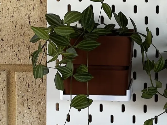 Medium SKÅDIS Succulent Planter & Pegboard Add-On
