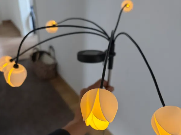 https://makerworld.bblmw.com/makerworld/model/US61e9981fdba6fc/design/e85884e636fce1da.jpeg