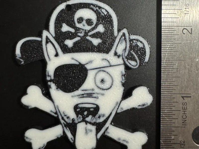 Pirate puppy