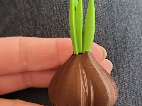 https://makerworld.bblmw.com/makerworld/model/US61ecebeb315180/design/80e8294c68a51f8c.jpg