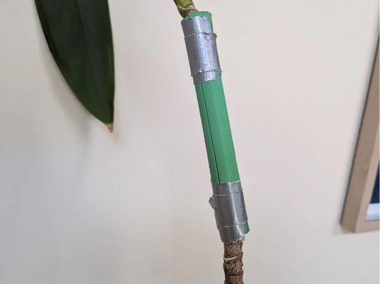 Parametric Tree growth Support Splint