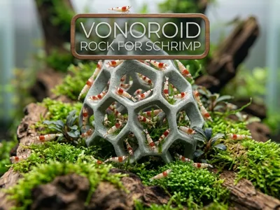 Voronoi Shrimp Rock