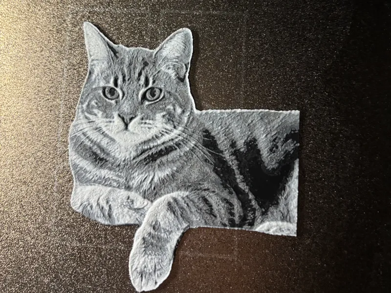 写实版立体小猫版画
